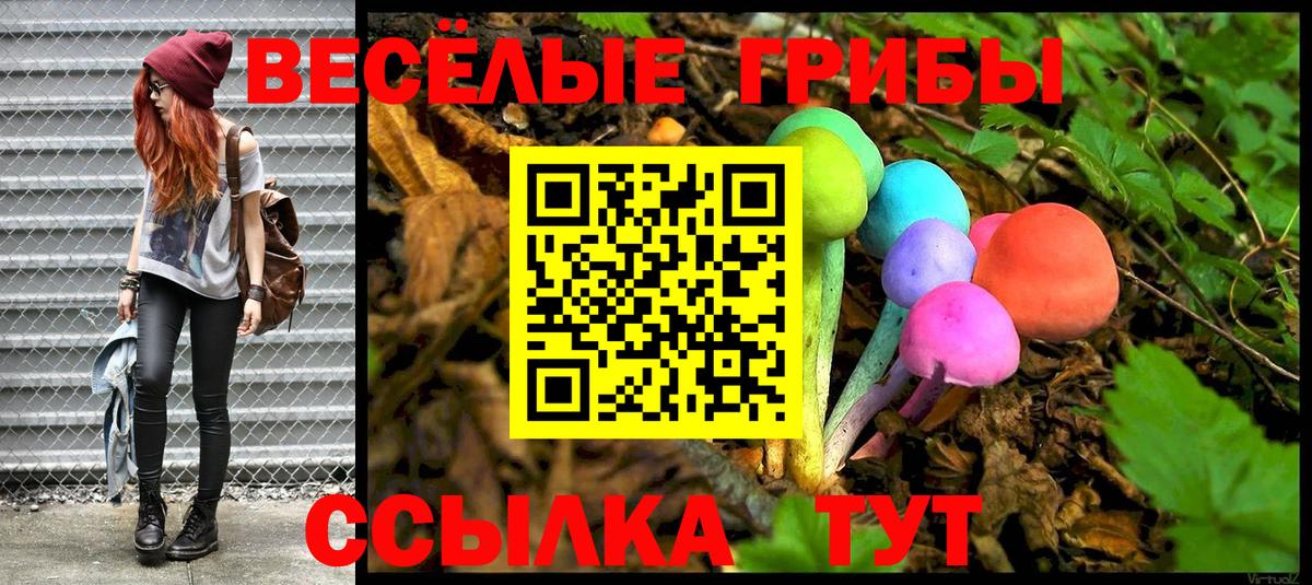 Галлюциногенные грибы Psilocybe Каменск-Шахтинский
